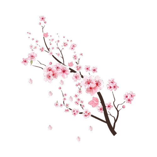 blossom